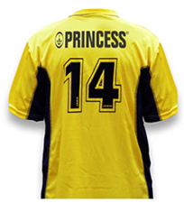 Back to NAC Breda Shirt Sponsor