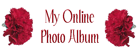 Photo Album