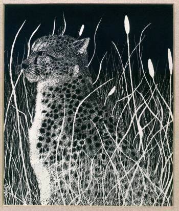 CHEETAH.jpg (45870 bytes)