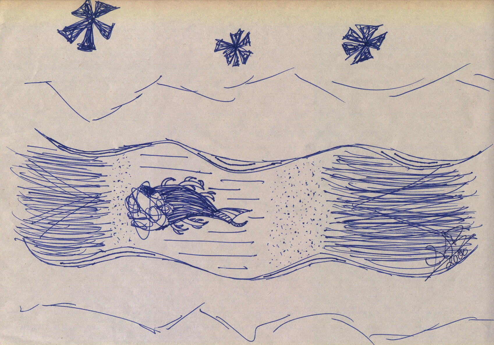 SWIMFISH.JPG (378714 bytes)