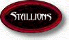 Stallions