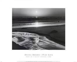 An Ansel Adams print entitled 'Birds on the Beach'.