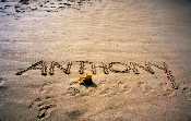 Anthony in the sand