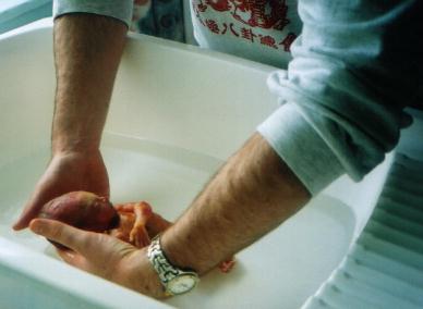 Kieron bathing Heloise