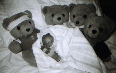 Heloise with her bear family