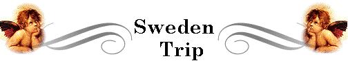 Sweden
   Trip