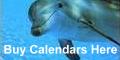Buy Calendars