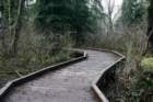 woodenwalkway_small.jpg