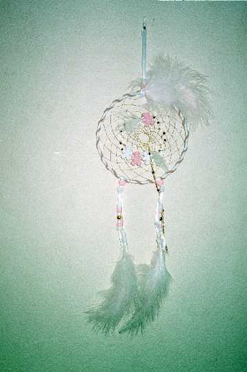 Img03_small.jpg (20195 bytes)