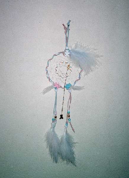 Img07_small.jpg (22631 bytes)