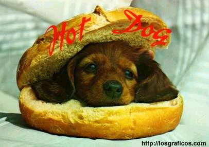 Por mi madre, que no entiendo!!!