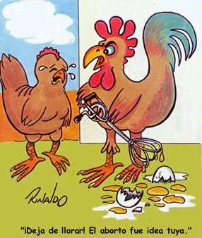 Pollito pio, pollito pio