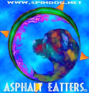 Link to Spin*Dog Longboards