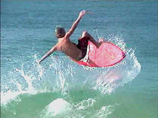 Termite Taylor Brothers