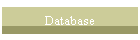 Database