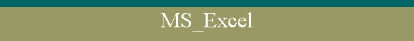 MS_Excel