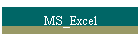 MS_Excel