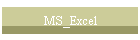 MS_Excel