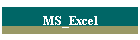 MS_Excel