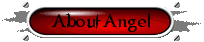 About Angel