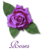 Purple Rose Invite