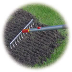 Rake soil