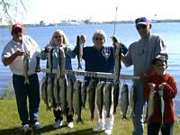 Salmon, Lake Trout and Walleyes caught on our Lake Superior charter fishing boat.