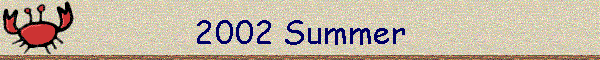 2002 Summer