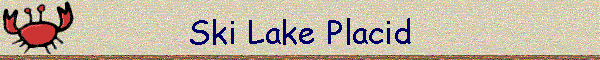 Ski Lake Placid