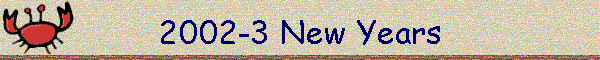 2002-3 New Years