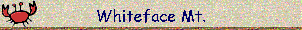 Whiteface Mt.