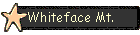 Whiteface Mt.