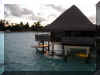 moana bora bora overwater bungalow.jpg (54580 bytes)