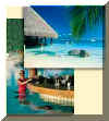 tahiti_parkroyal_swimup_bar.jpg (13504 bytes)