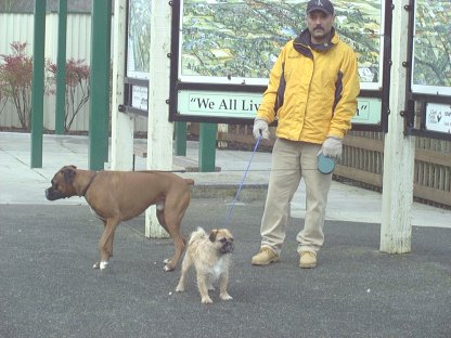 Ready for a walk - let's go!!!!!