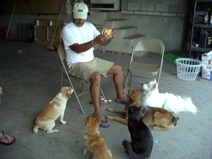 When will that morsel drop and who will get it first?