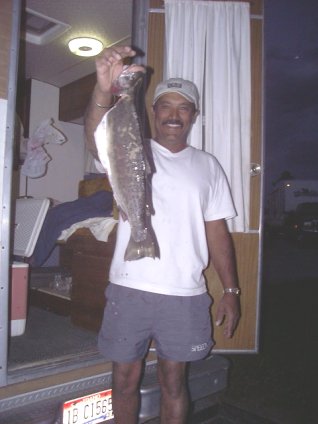 This is a nice size fish!