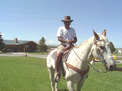 Ok, horse, just walk!