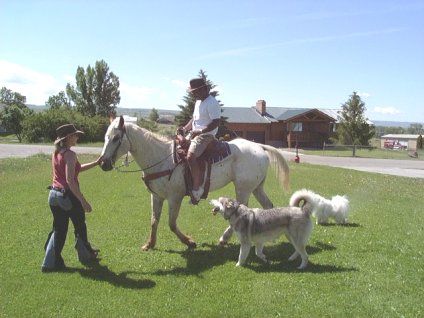 Ok, horse, this is fast enough!