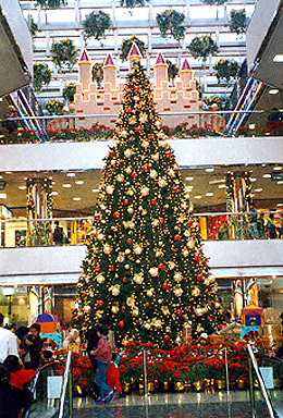 Christmas Tree