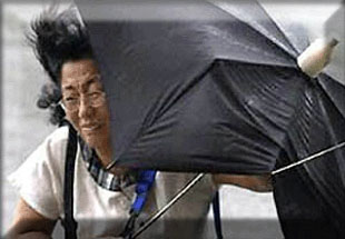 Umbrella