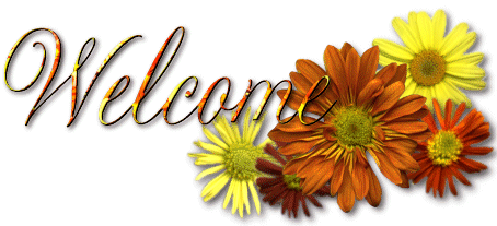 purdaisyhead.jpg (16562 bytes)