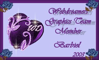 WebDreamer Graphic Team Membership Plaque