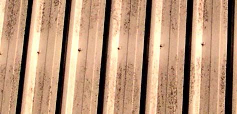 Zoned Roof Fungus - Inhibited by cadmium  on bolts.