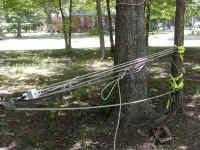 88.jpg (96934 bytes)