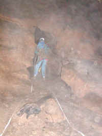 83.jpg (47562 bytes)