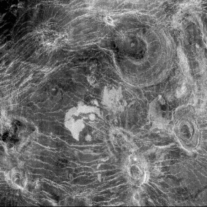 Arachnoid surface area on the planet Venus.