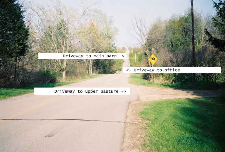 Picture of the 3 main driveways