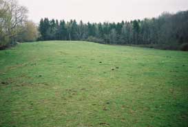 upper horse pasture