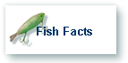 Fish Facts